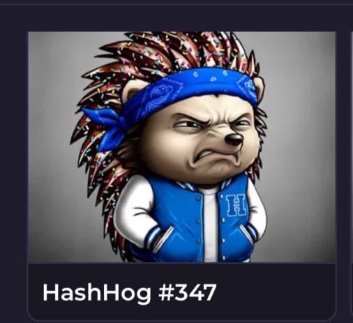 𝗖𝗵𝗲𝗹𝗹𝗽𝗵𝗶𝗰𝗸 🍌 tweet media