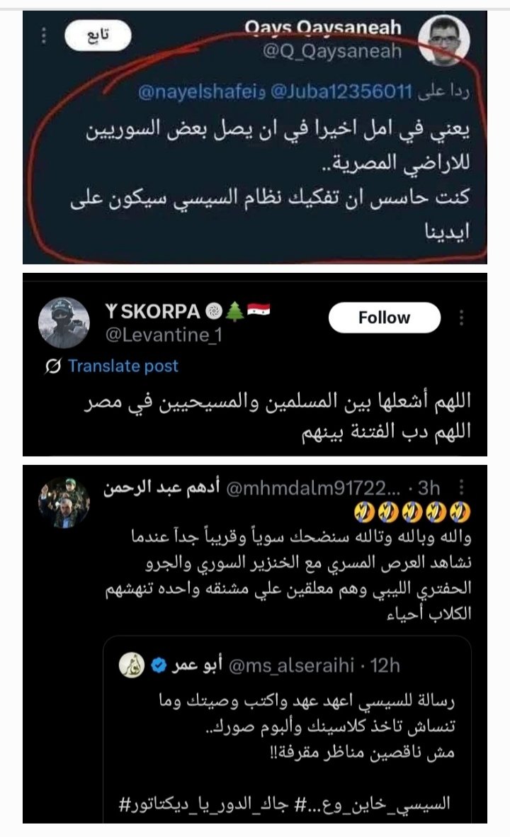 manal zayed tweet media