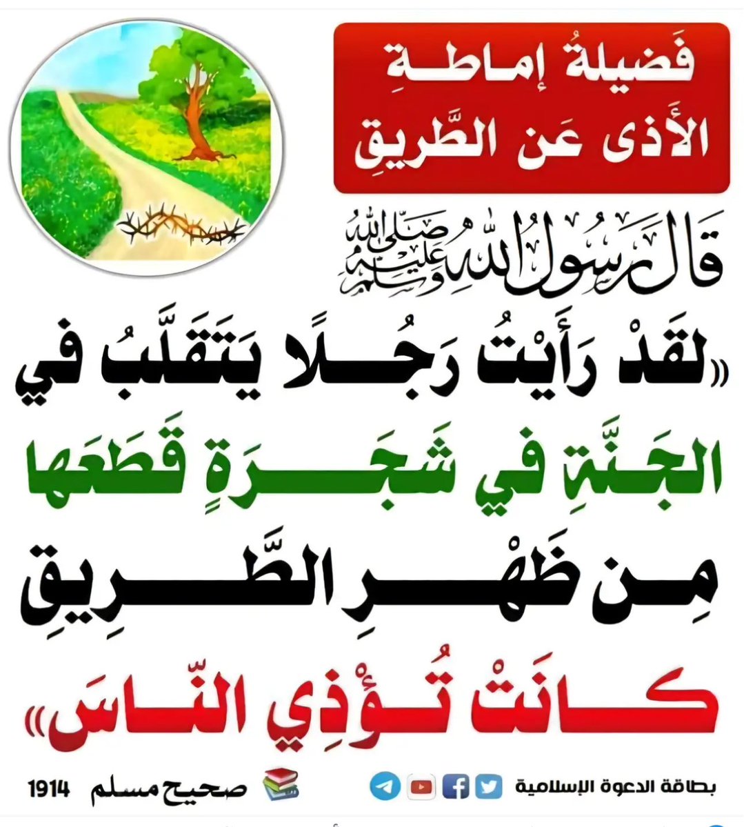 محب القرآن الكريم والسنه🇸🇦 tweet media