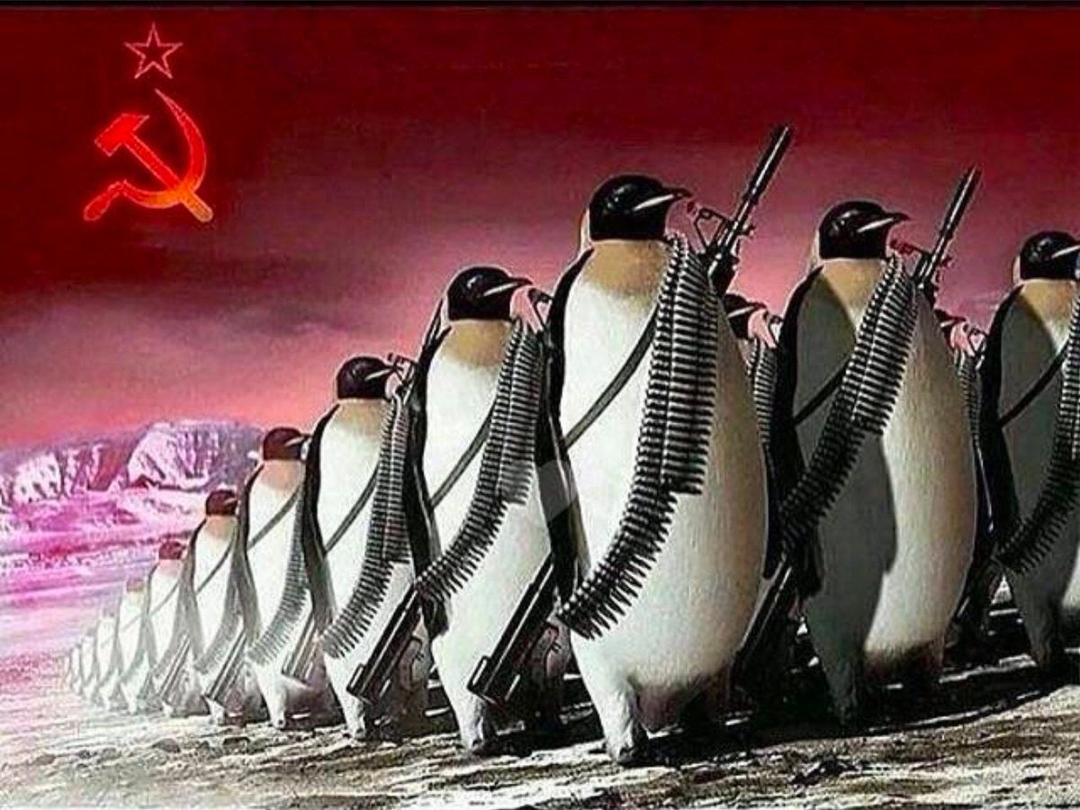 ☭ losethos ☭ tweet media