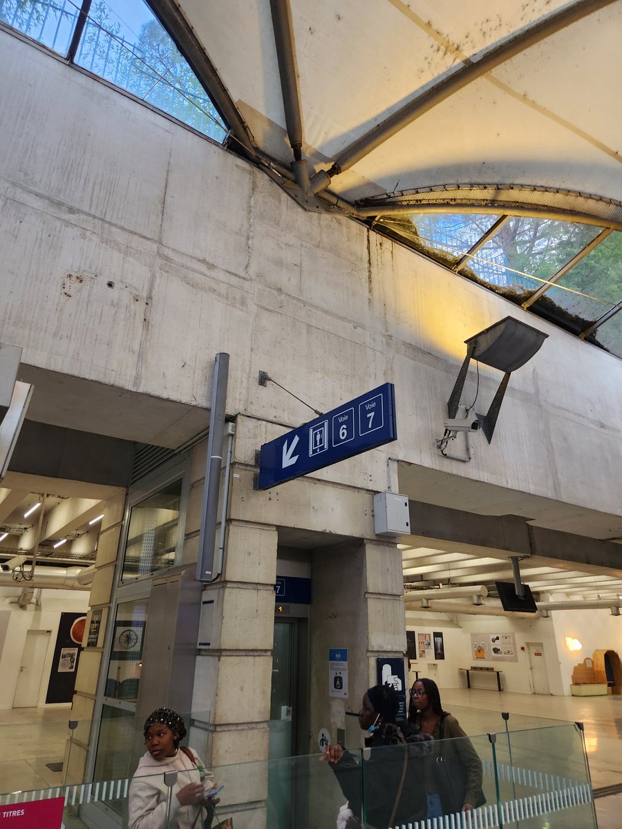 Enrico Lover🌈 tweet media