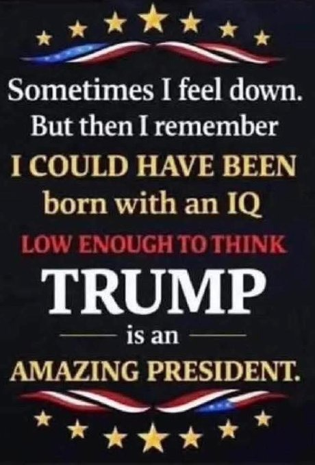 🌻RightIsWrong 🌊 🐘 🐿️ 🌳🔆 🐝🌷🐧 tweet media