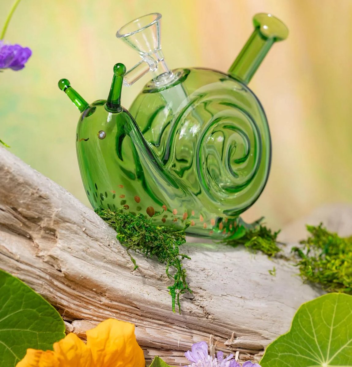 xeno / tooth of shtwt tweet media