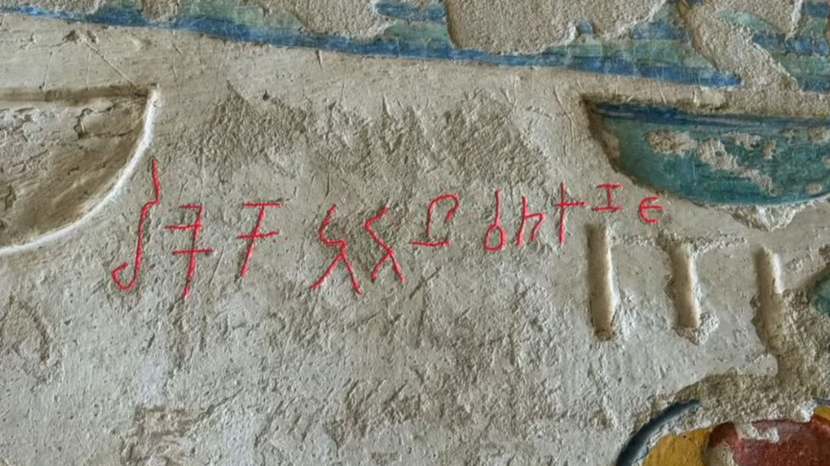 Márcia Jamille🐼🔎 tweet media