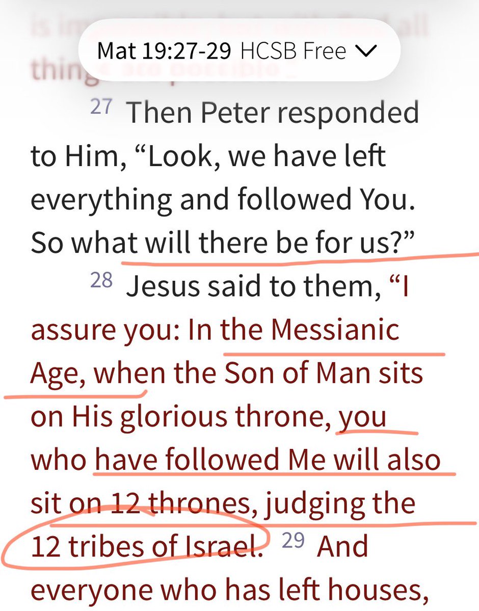 BrunoBarking tweet media