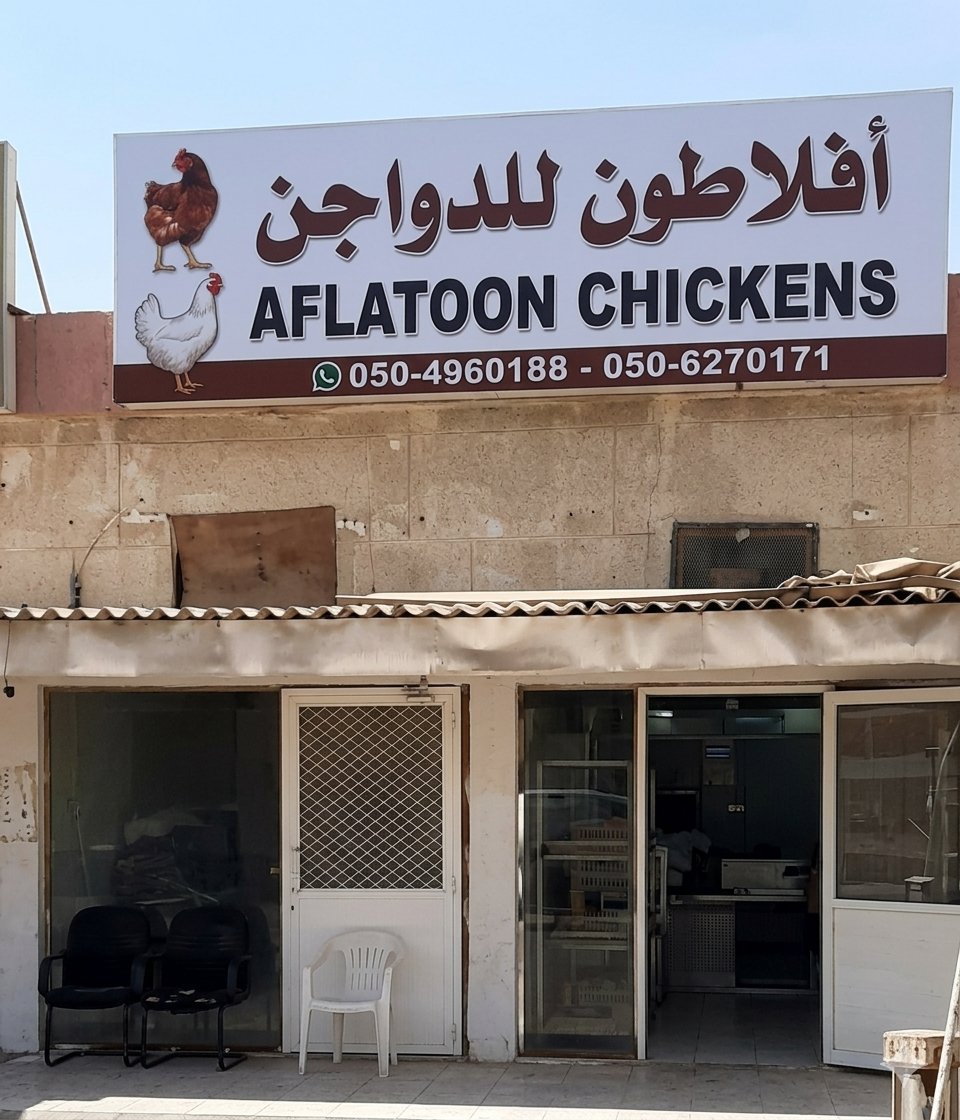 رغد العتيبي tweet media