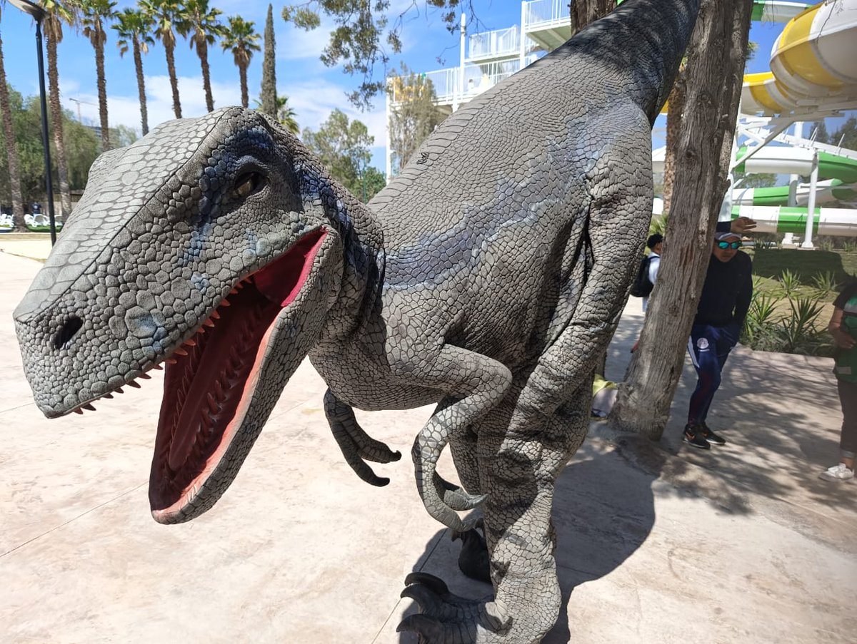 El Universal San Luis Potosí tweet media