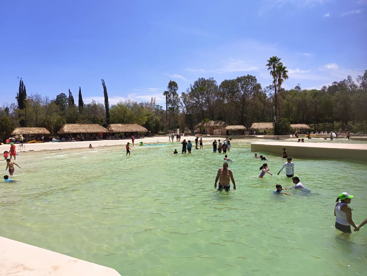 El Universal San Luis Potosí tweet media