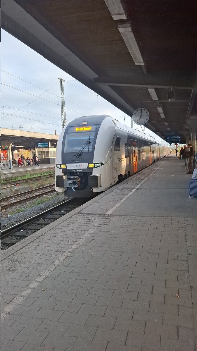 Panda 🚄🇪🇺🏳️‍🌈 tweet media