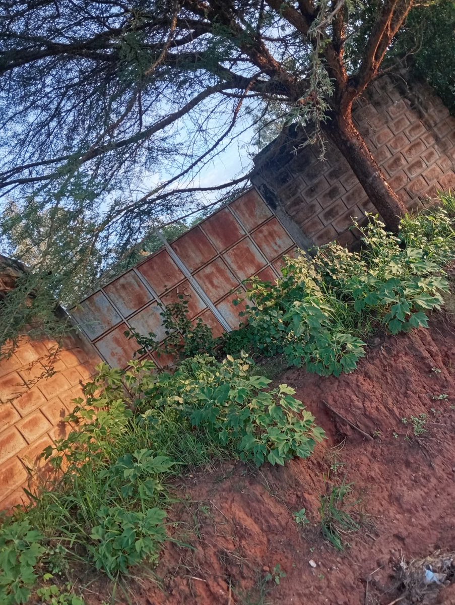 Ignatius tweet media