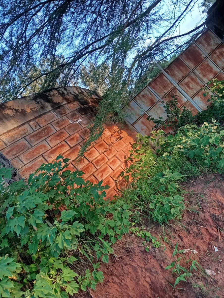 Ignatius tweet media