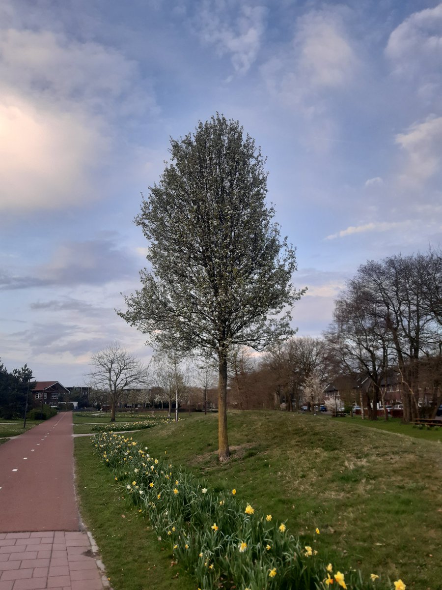 Barbarella tweet media