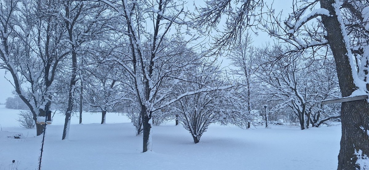 Derek Wegener tweet media