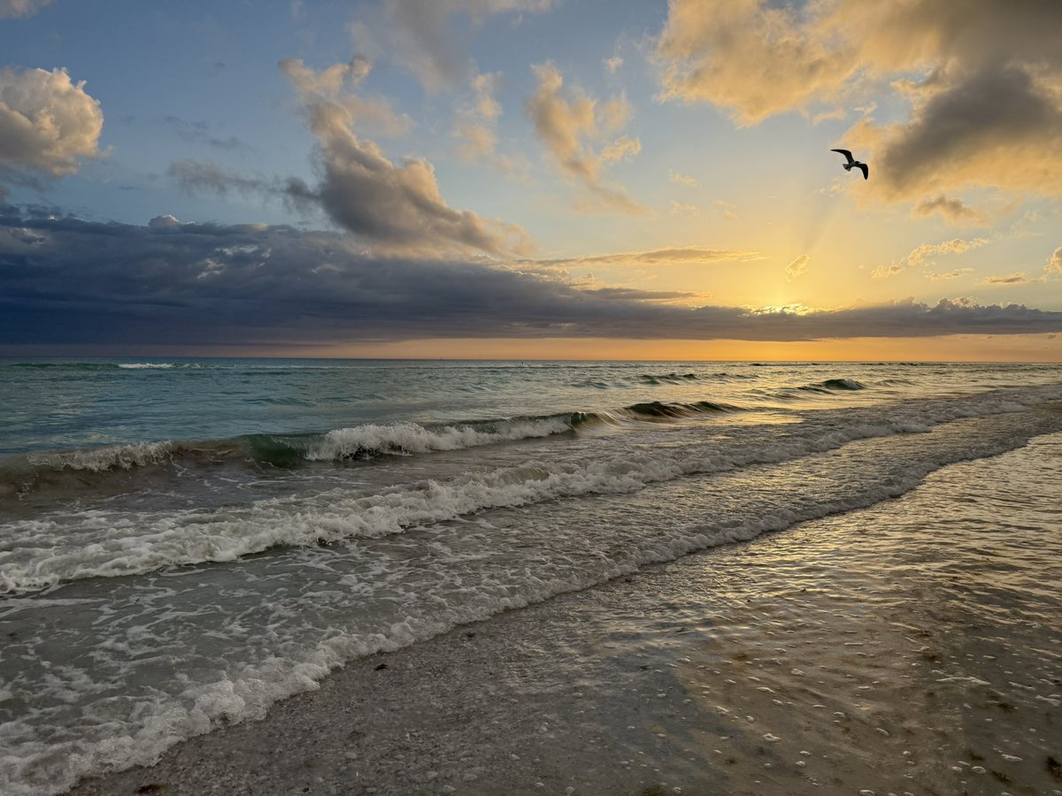 Steven Bailey tweet media