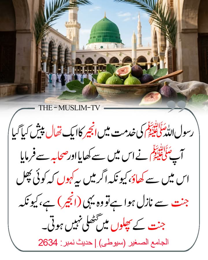 رسول اللہ ﷺ نے فرمایا 🍃❤️