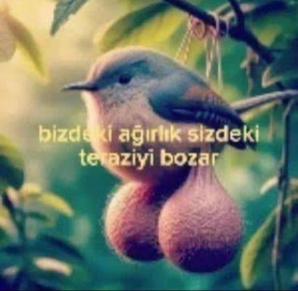 heeseunk | enhypen is 7 tweet media