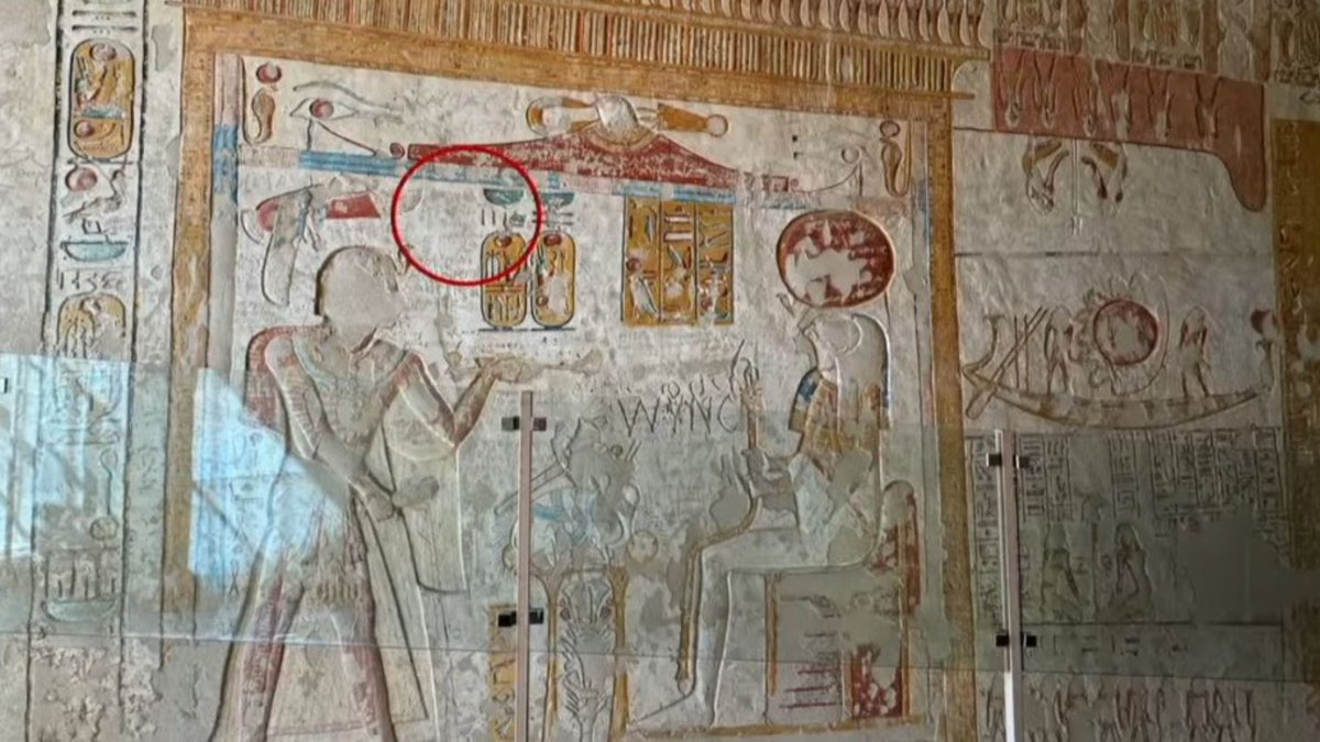 Márcia Jamille🐼🔎 tweet media