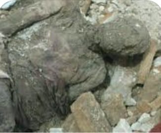 Amir Ebrahimiii 2 tweet media