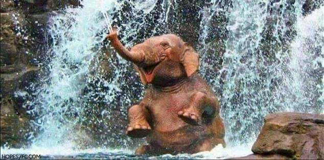 ابو تال tweet media