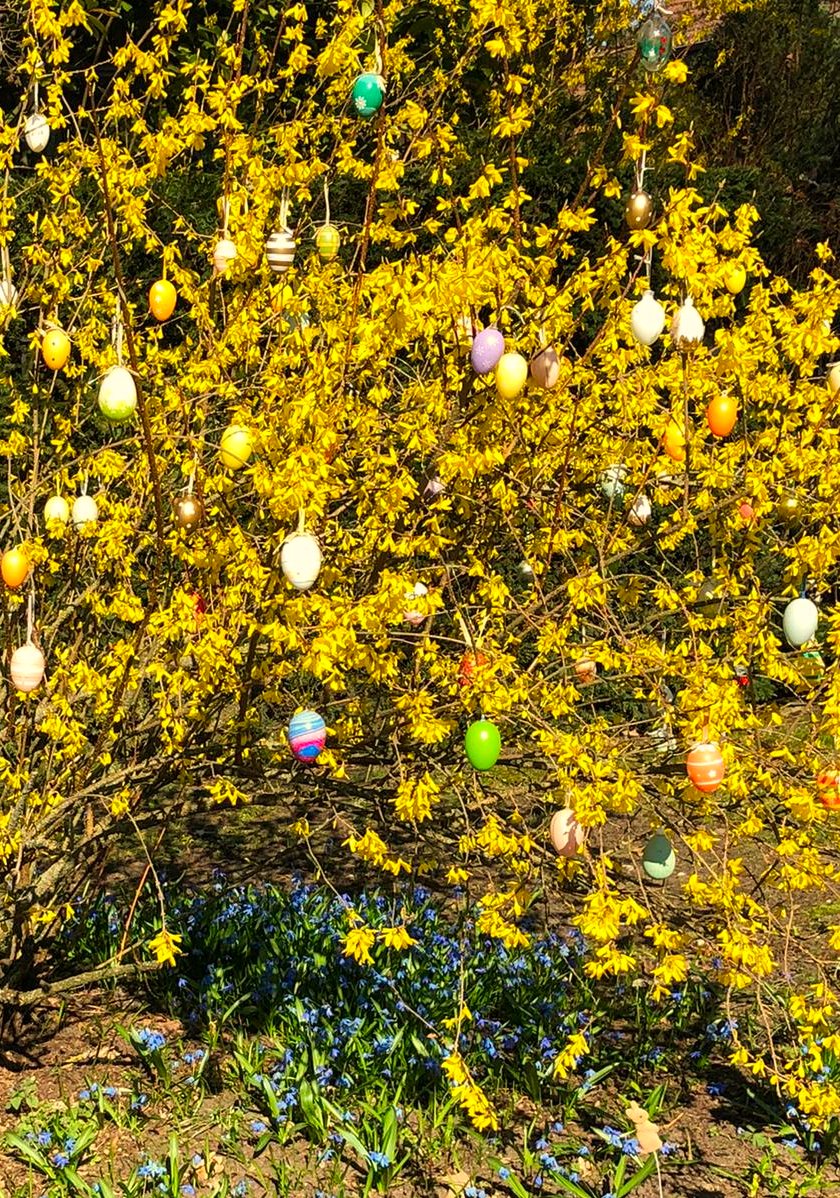 FitKateFitness's tweet image. Good morning! 🐰
Some pretty Easter decor I spotted during my morning walk. Spring is looking gorgeous! Have a wonderful day!
#Easter #spring #run #walk