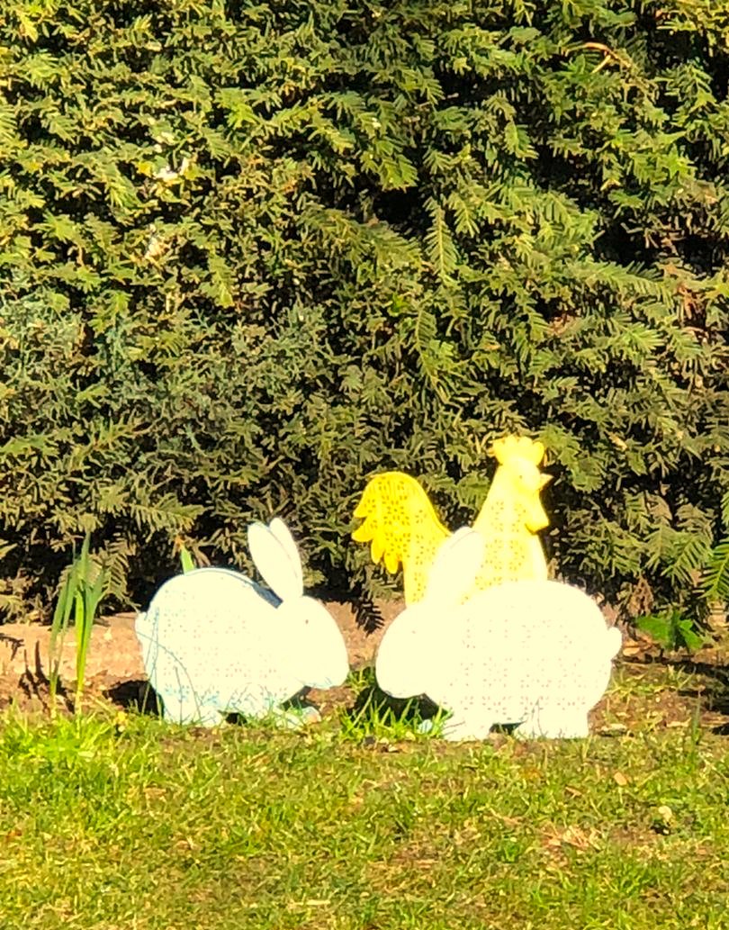 FitKateFitness's tweet image. Good morning! 🐰
Some pretty Easter decor I spotted during my morning walk. Spring is looking gorgeous! Have a wonderful day!
#Easter #spring #run #walk