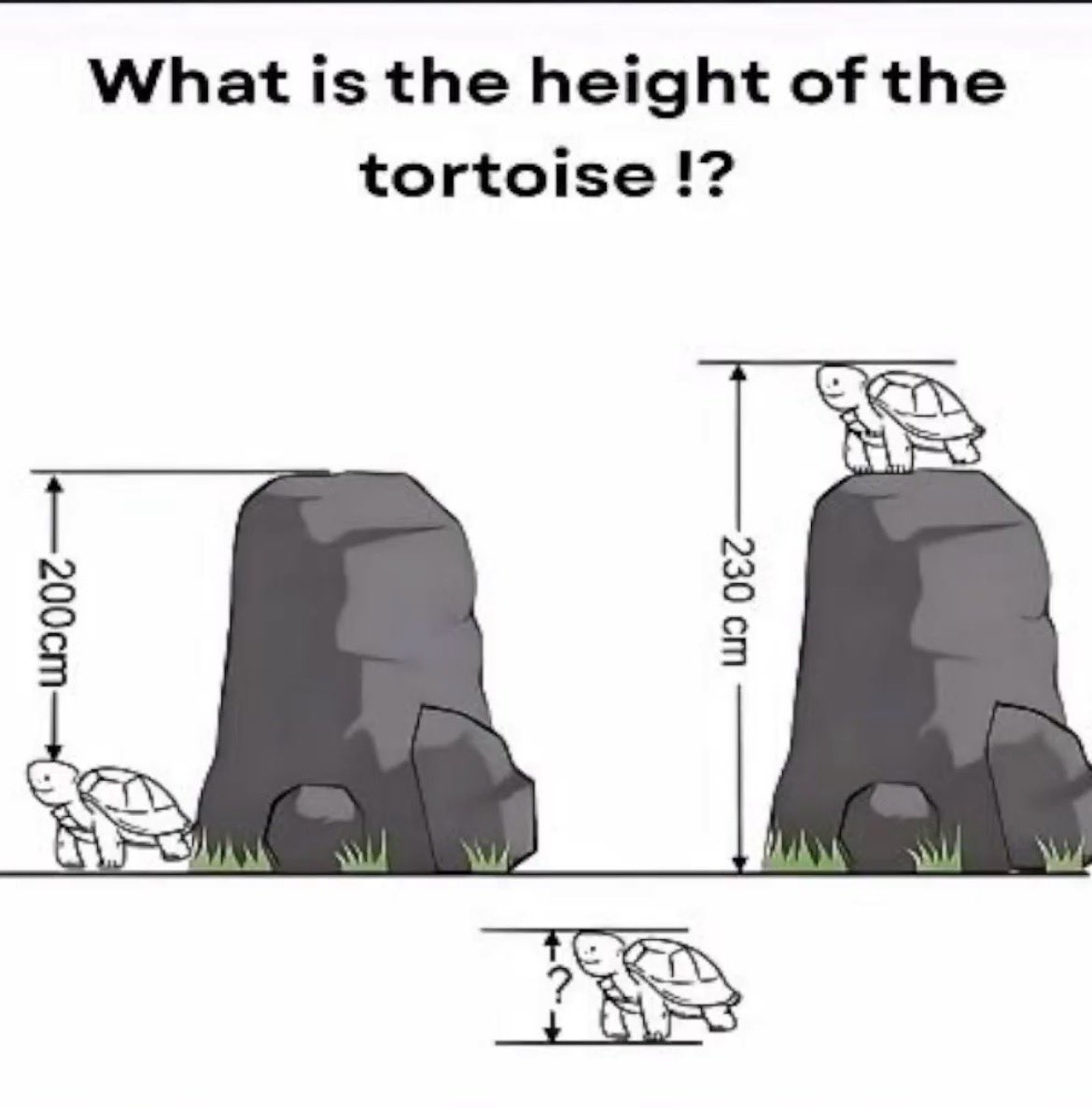 الإلكترون الحُرّ ☀️FE5 tweet media