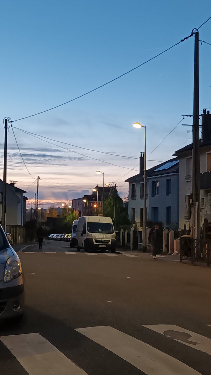 Elena Miron tweet media