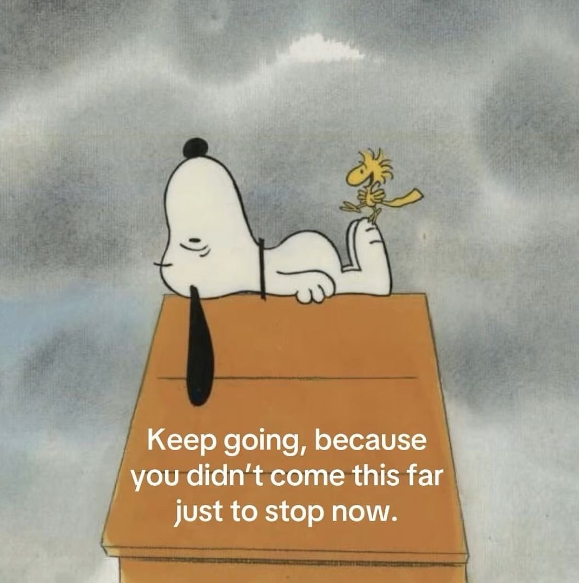 Starseed tweet media