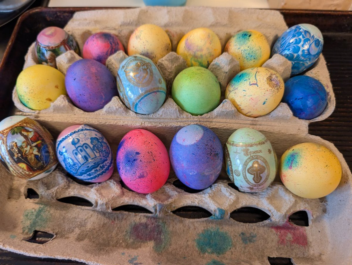 Rosie Gamgee tweet media