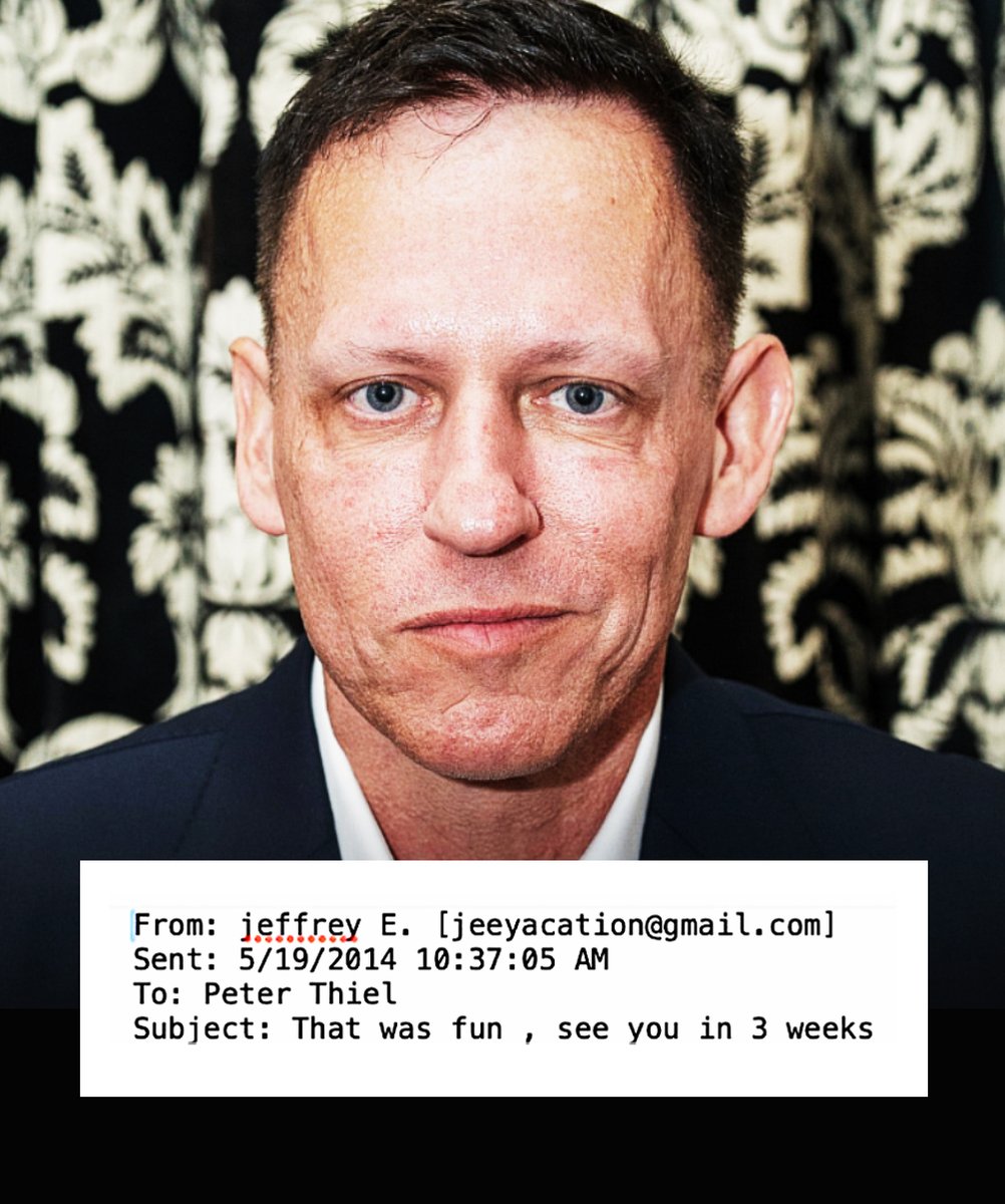 💙 Dr. MemeNstein votes 💙 BLUE 🇺🇸🦅 tweet media