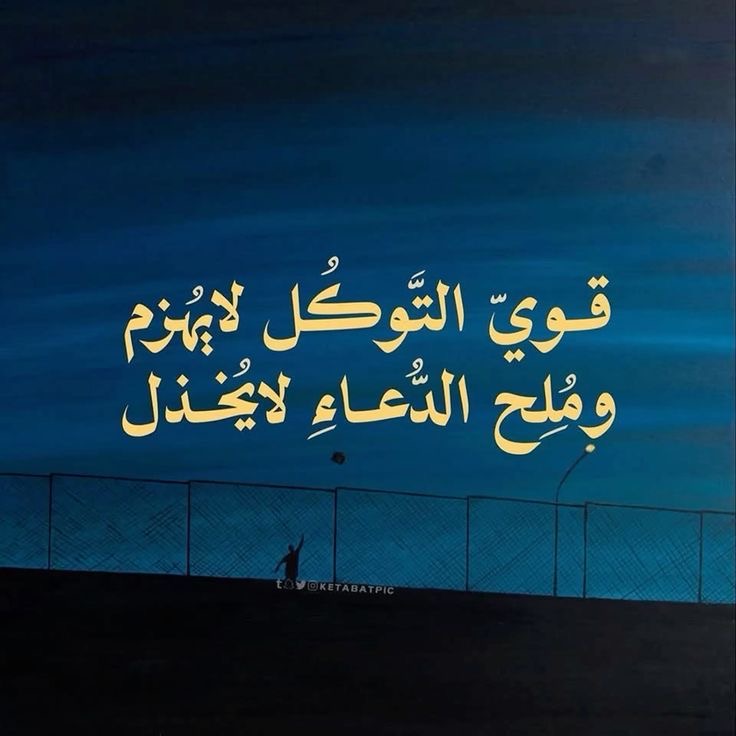 Ali 100% tweet media