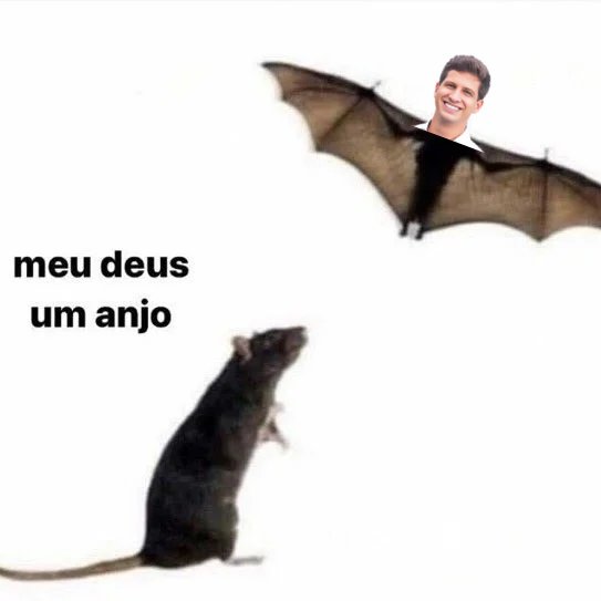 Heverton Silva tweet media