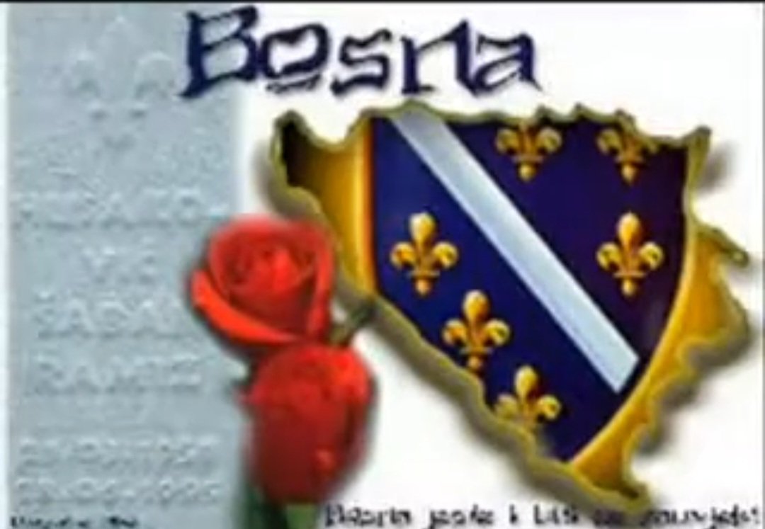 Pasaga Gazibegovic tweet media