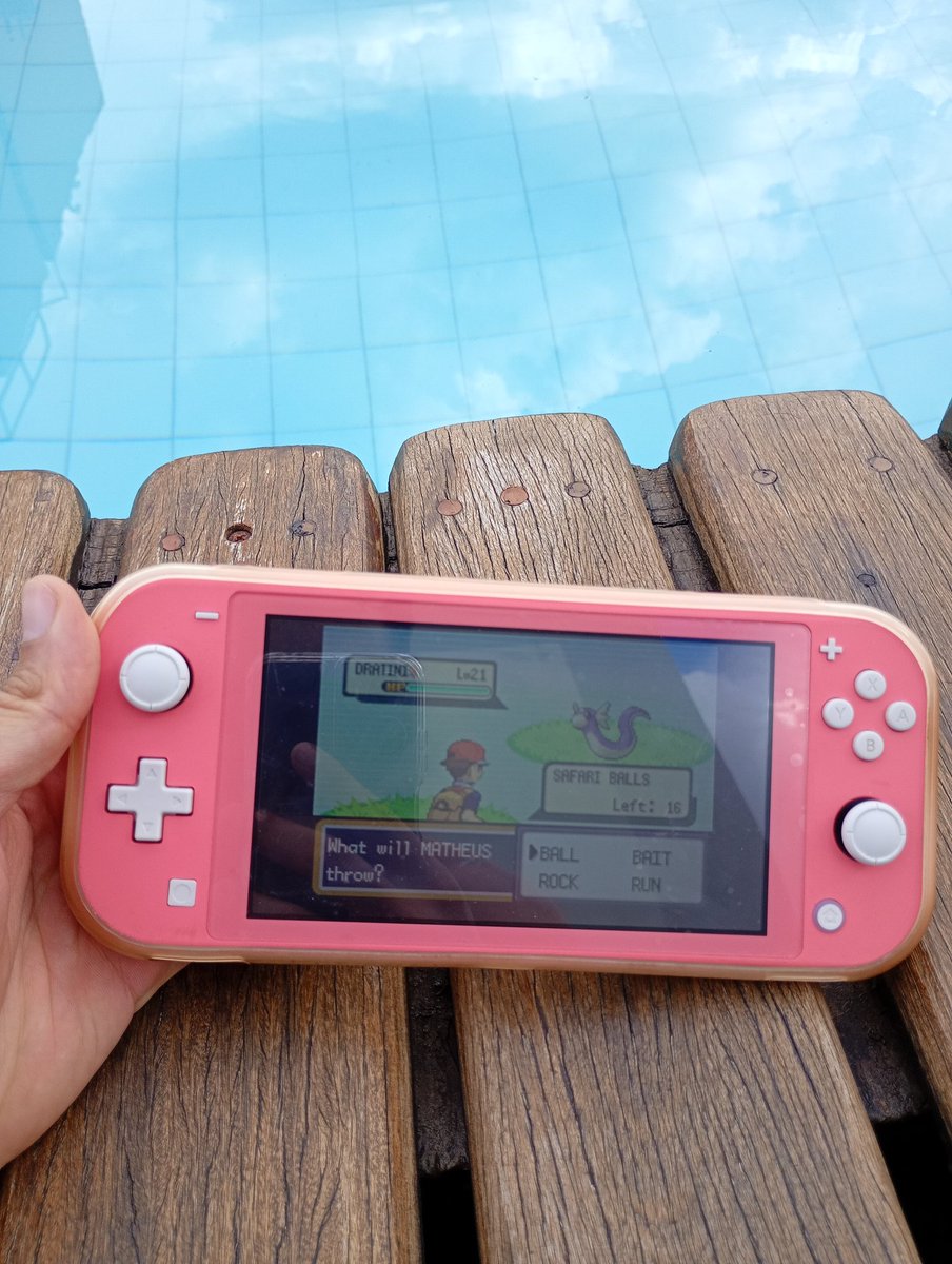 Marg 🐥🌿🌪️🌊 tweet media