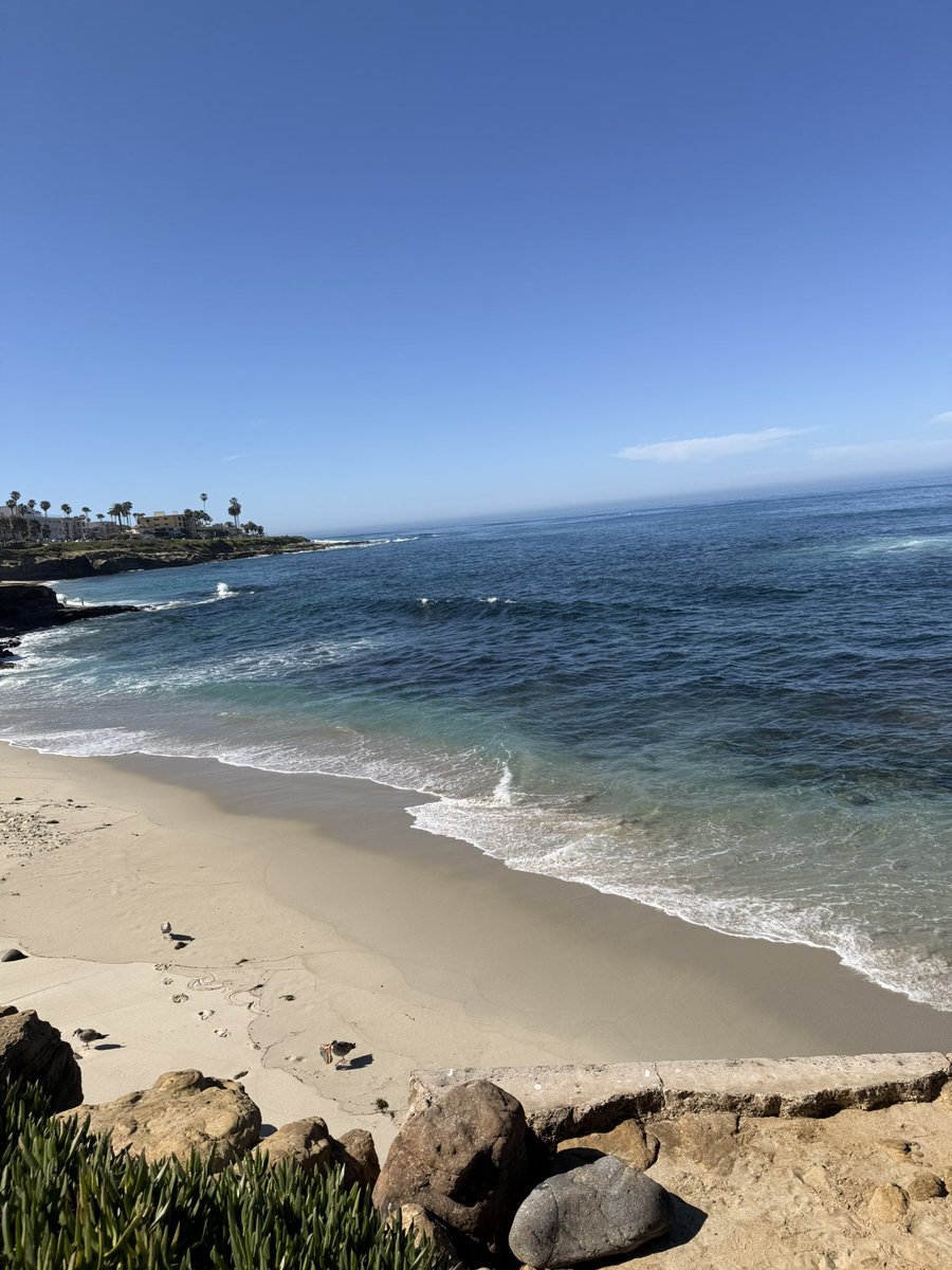 Real Blonde Broker tweet media