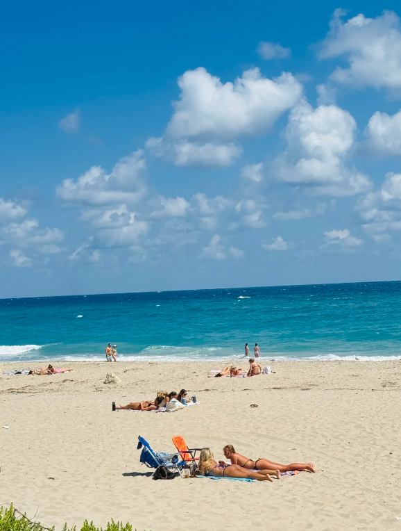 Ana Cvetkovic tweet media