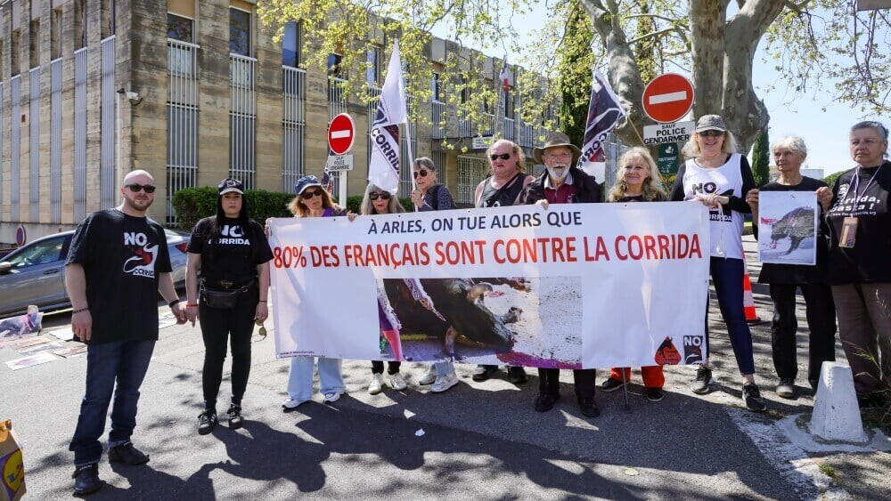 La Provence tweet media