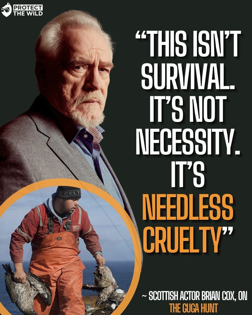 Protect the Wild tweet media