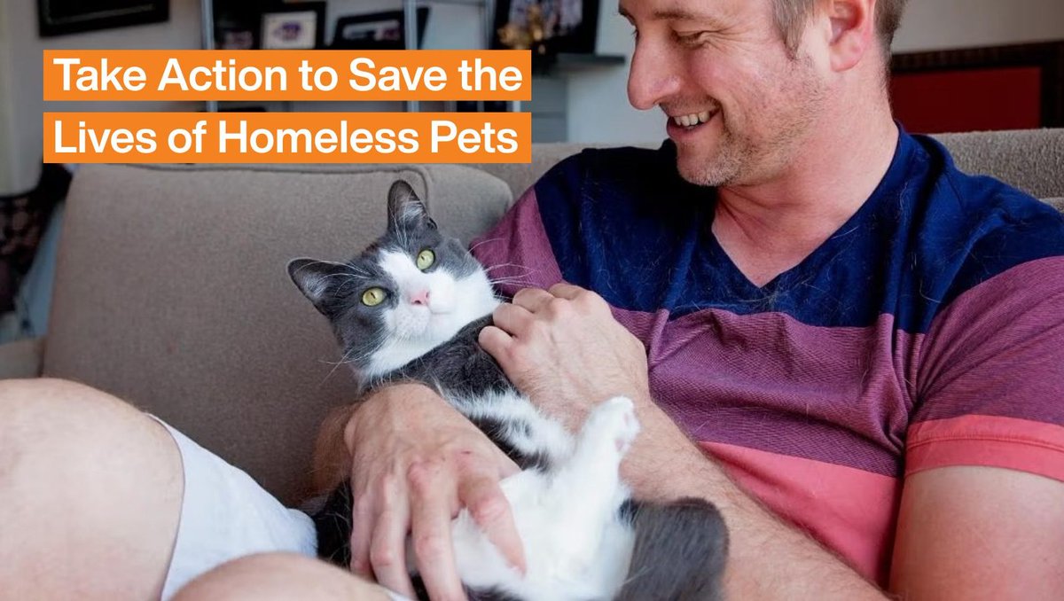 Best Friends tweet media