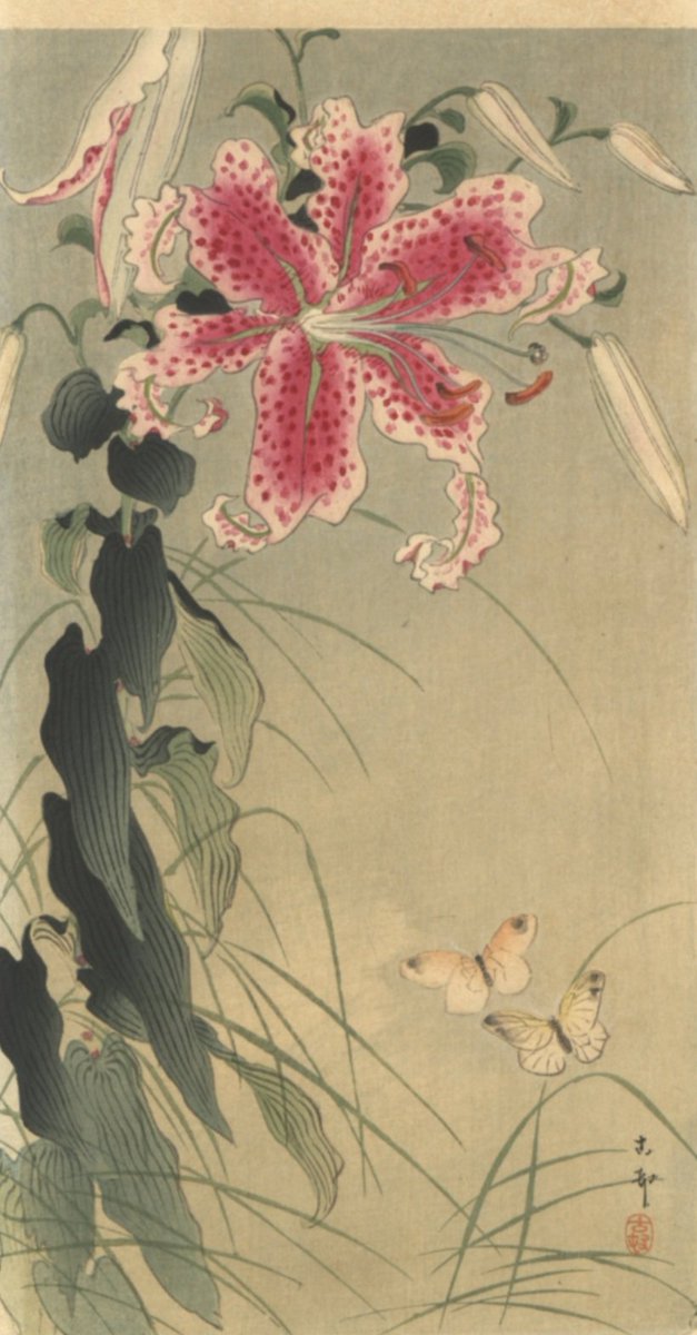 Michel Lara tweet media