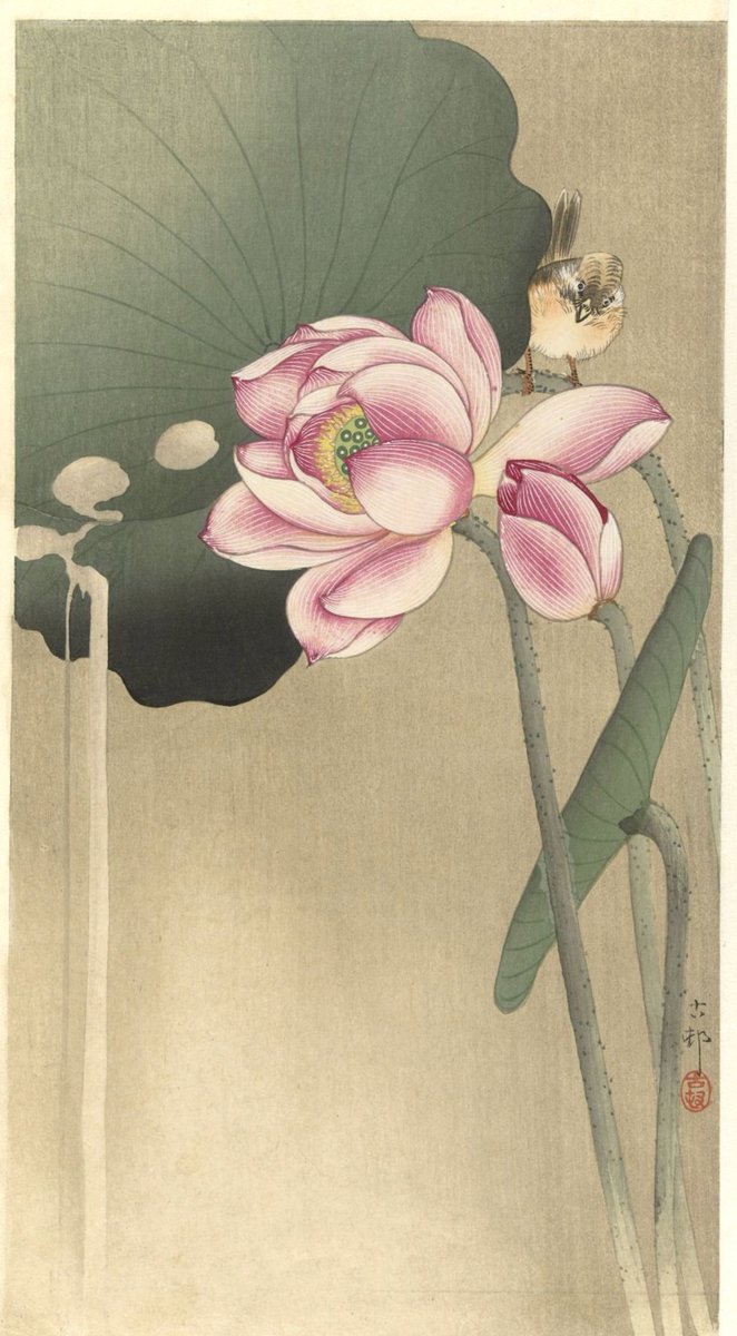 Michel Lara tweet media