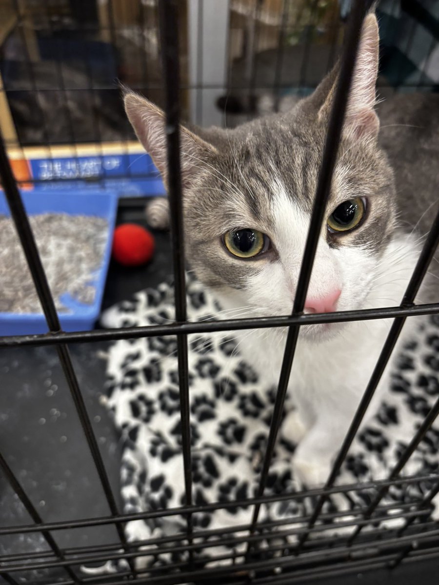 Virginia Glaze tweet media