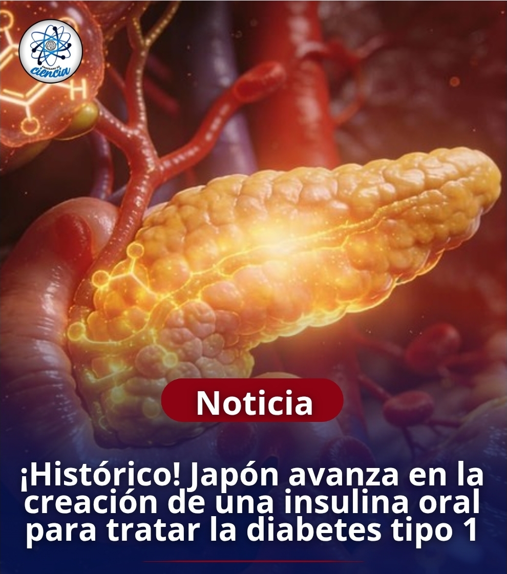 Enséñame de Ciencia tweet media