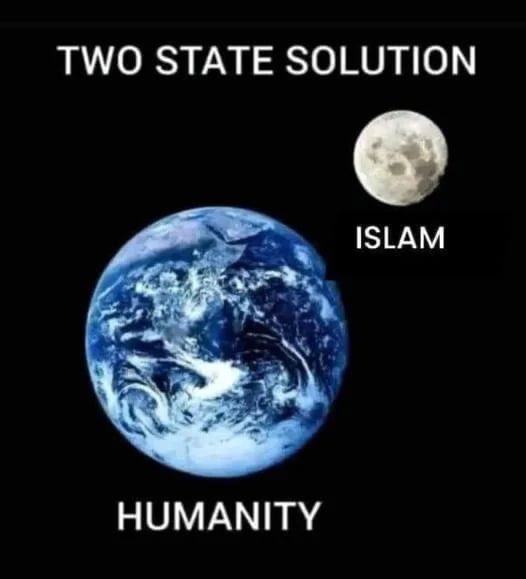 Rex Mammel tweet media