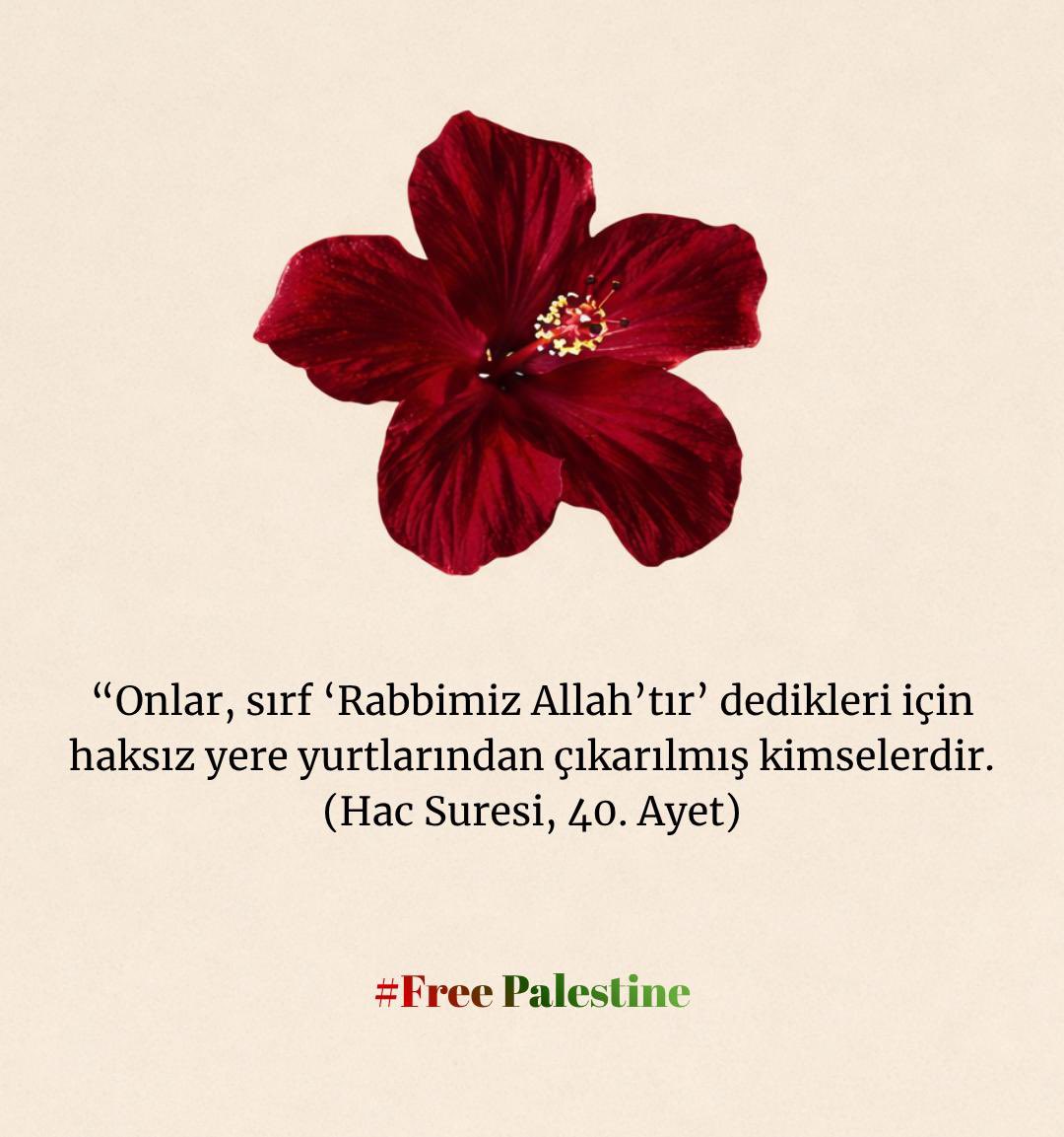 islamiigenclikk's tweet photo. #FREEPALESTİNE https://t.co/dJv0bXb1ee