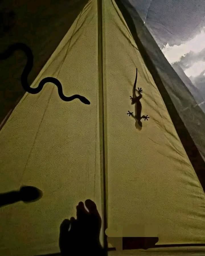 MageLevi tweet media