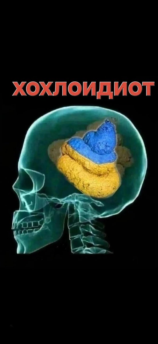 Михаил tweet media