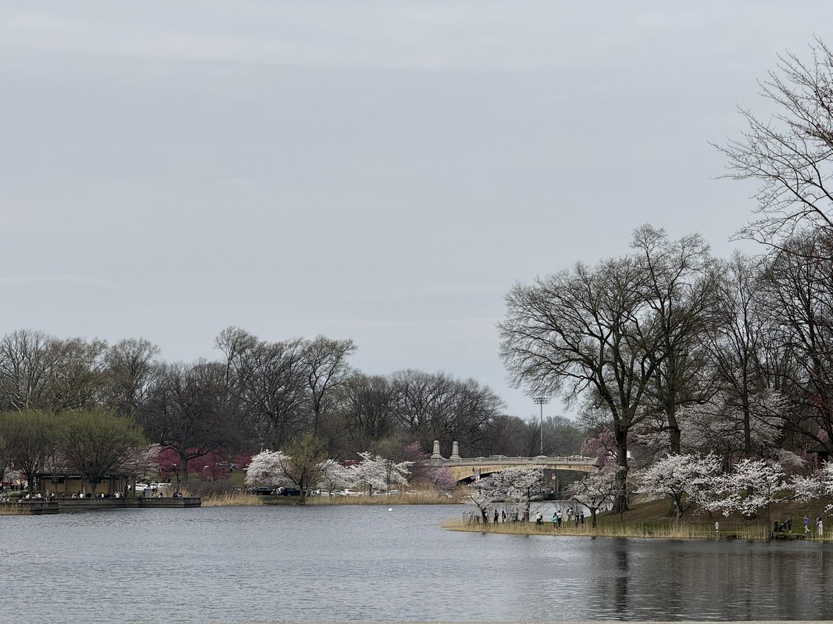 Candi’s Classic Game Shrine 👾⛩️ tweet media