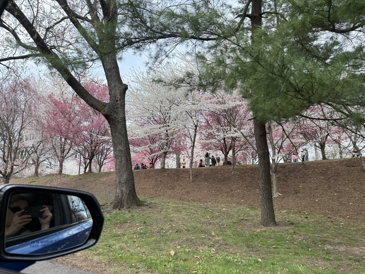Candi’s Classic Game Shrine 👾⛩️ tweet media