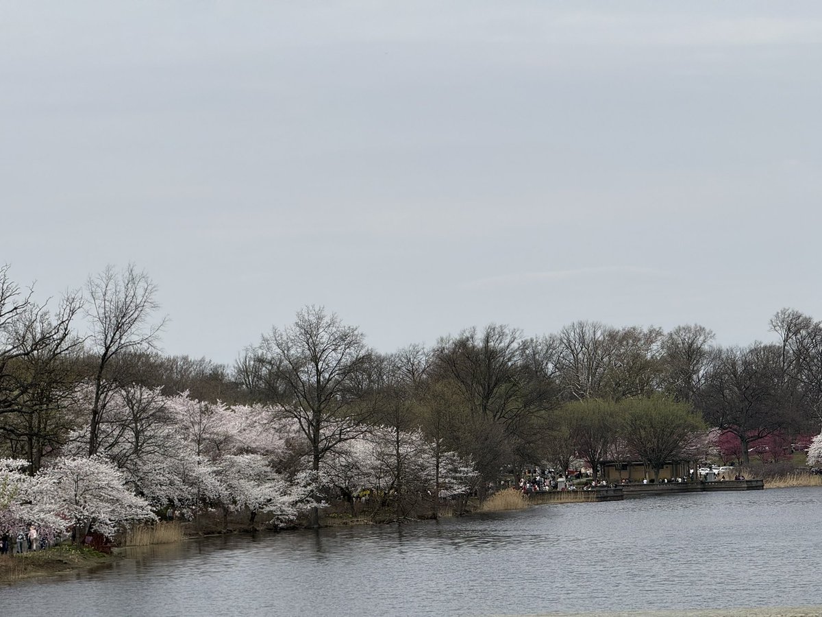 Candi’s Classic Game Shrine 👾⛩️ tweet media